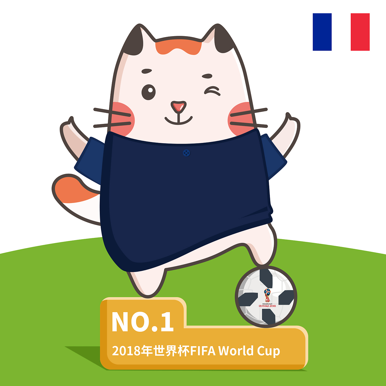 在巴西国家